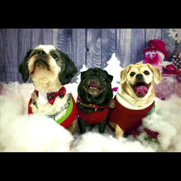 Meet your Posher, Marianne - Picture 3 of 6